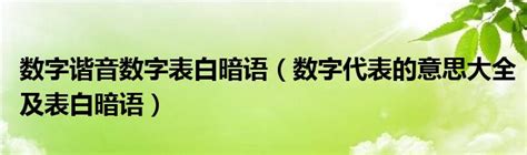 数字号码意思|数字谐音